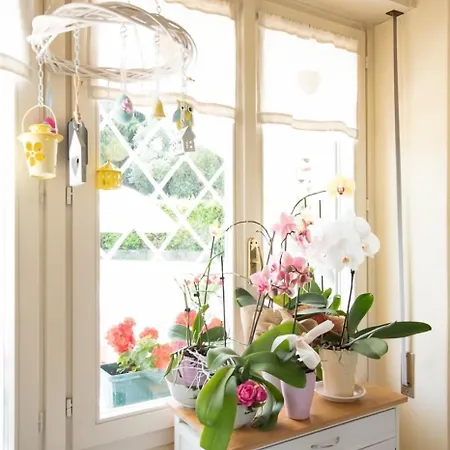 Couette-café Da Beatrice 3*