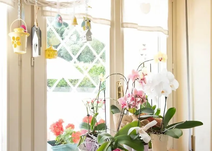 Bed & Breakfast Da Beatrice 3*